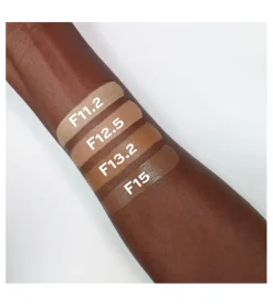 Base de maquillaje Super Matte - F11.2