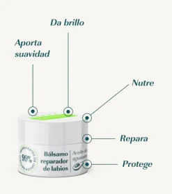 Bálsamo labial reparador con aguacate