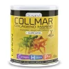 Collmar Magnesio Cúrcuma 300gr - Limón