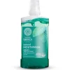 Enjuague bucal natural - 7 Hierbas Siberianas & Zinc, dientes y encías Fuertes