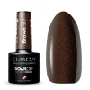 Esmalte semipermanente Soak off - 317: Brown