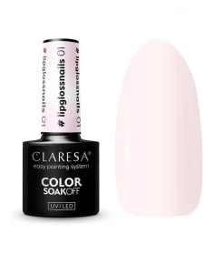 Esmalte semipermanente Soak off - 01: Lip Gloss Nail