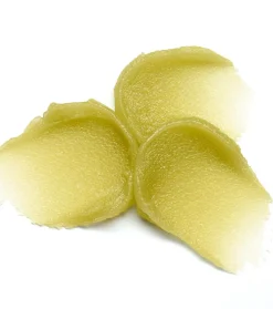 Exfoliante labial Lip Care Sugar Scrub - 02: Matcha Latte