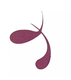 Eyeliner líquido metálico COLOUR it! - 02: Dark Cherry