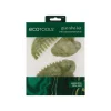 Kit Gua Sha - Edición limitada