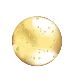 L.A Colors - Brillo de labios Lip Oil - CLG442: Hunnybun
