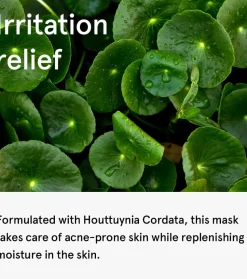 Mascarilla facial calmante Houttuynia Cordata