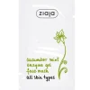 Mascarilla Facial Enzimática con Pepino y Menta