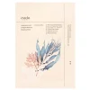 Mascarilla hidratante Chok-Chok Hyaluronic Acid & Algae