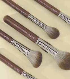 *Master Collection* - Set de 25 brochas - Shimmer Brown