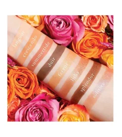 Paleta de sombras - Petit Pro Solstice