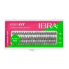 Pestañas postizas individuales Foxy Eye 0.10 J - Mix de tamaño
