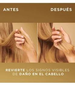 *Pro-V Miracles* - Champú Bond Repair Molecular