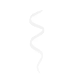 Revolution - Pegamento para pestañas Lash Liner Glue - Clear