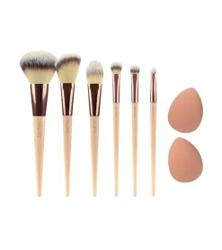 Set de 6 brochas y esponjas