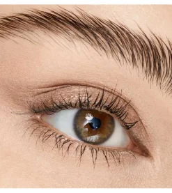 Sombra de ojos Stick Aloe Vera - 010: Golden Toffee