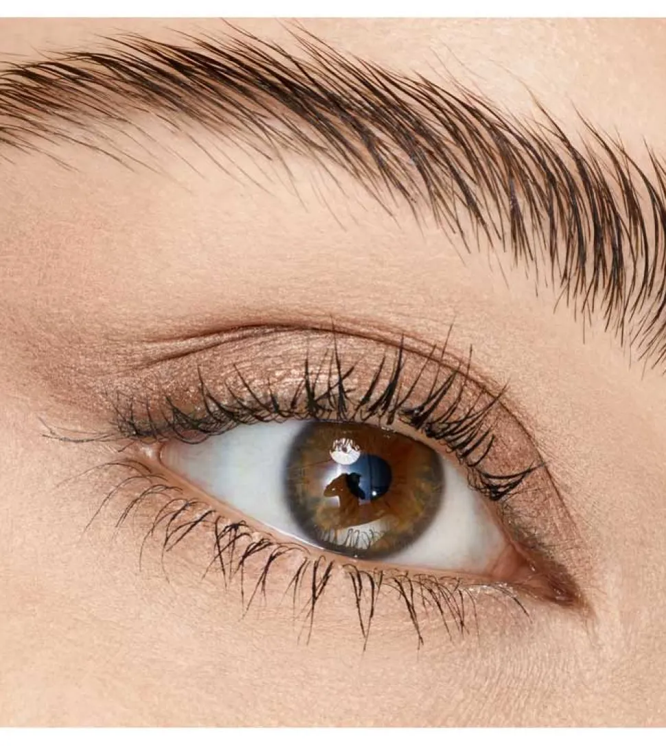 Sombra de ojos Stick Aloe Vera - 010: Golden Toffee