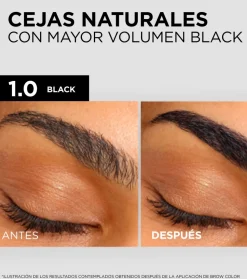 Tinte de cejas semipermanente Brow Color - 1.0: Black