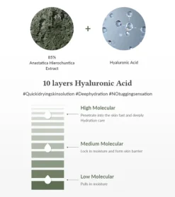 Tónico con extracto de Anastatica