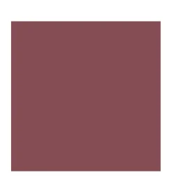 *Vegan Collagen* - Barra de labios HypoAllergenic Plumping Color Lipstick - 01: Choco