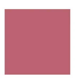 *Vegan Collagen* - Barra de labios HypoAllergenic Plumping Color Lipstick - 02: Nude