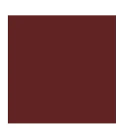 *Vegan Collagen* - Barra de labios HypoAllergenic Plumping Color Lipstick - 06: Cherry