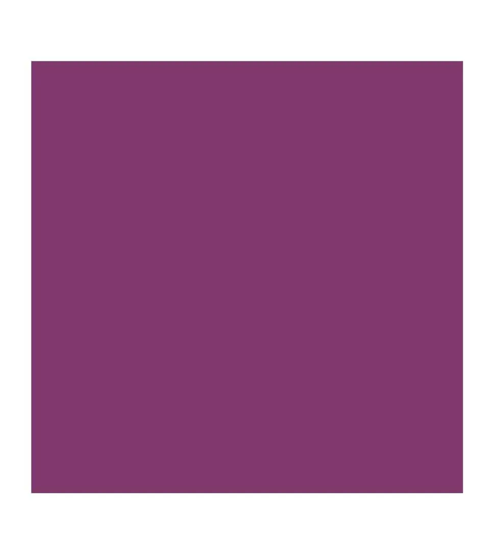 *Vegan Collagen* - Barra de labios HypoAllergenic Plumping Color Lipstick - 05: Plum