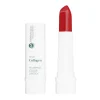 *Vegan Collagen* - Barra de labios HypoAllergenic Plumping Color Lipstick - 04: Fire